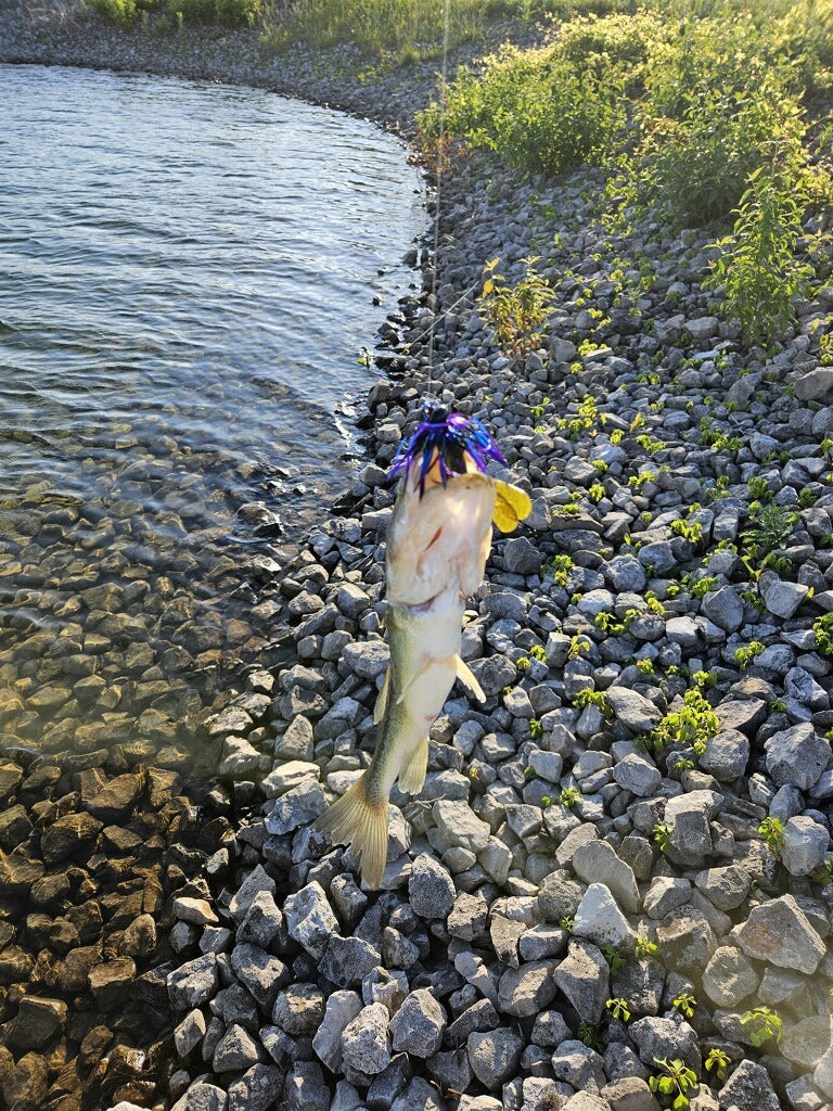 TATC Pig Jig
